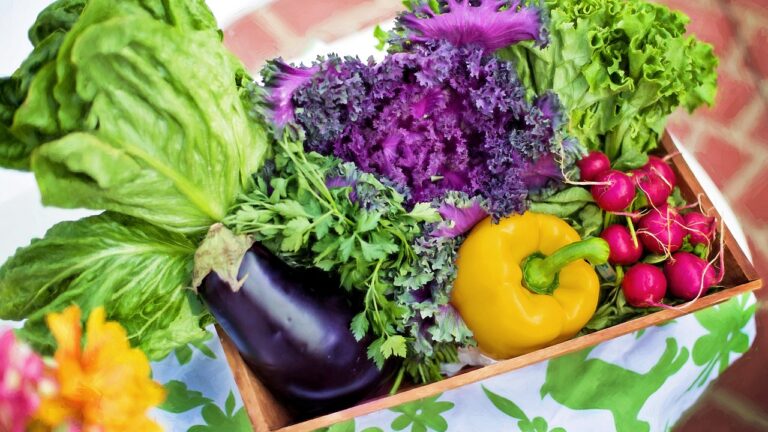 Cum te poate ajuta un îngrășământ organic în întreținerea unei grădini de legume